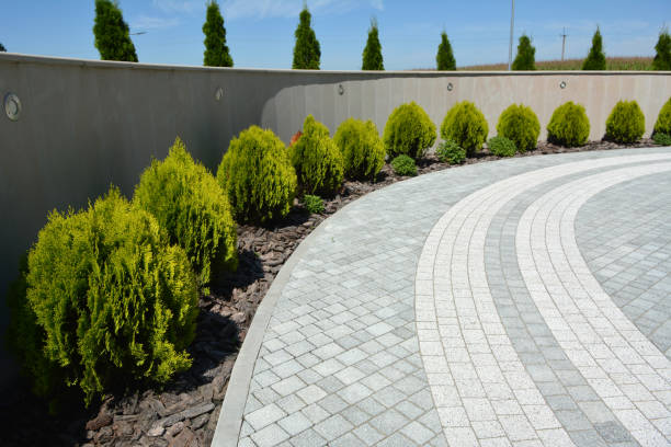 Best Driveway Paving Contractor  in Hampton, VA